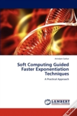 Capa do artigo Soft Computing Guided Faster Exponentiation Techniques