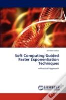 Soft Computing Guided Faster Exponentiation Techniques