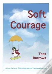Capa do artigo Soft Courage