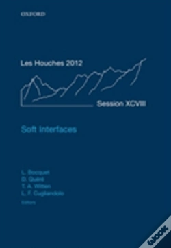 Capa do artigo Soft Interfaces