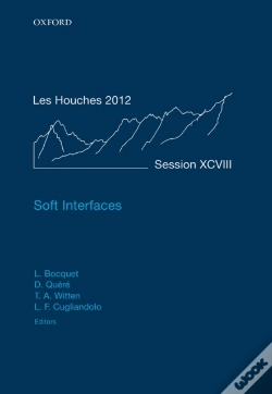 Capa do artigo Soft Interfaces