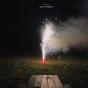 Soft Power - Vinil - Preview