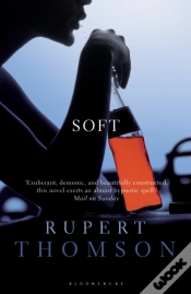 Capa do artigo Soft