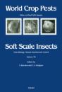 Soft Scale Insects - Preview