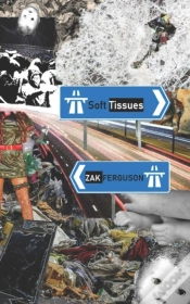 Capa do artigo Soft Tissues