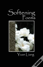 Capa do artigo Softening