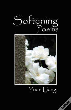Capa do artigo Softening