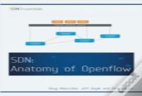 Software Defined Networking (Sdn)