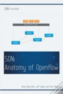 Capa do artigo Software Defined Networking (Sdn)