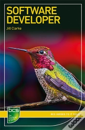 Capa do artigo Software Developer