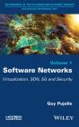 Software Networks - Preview