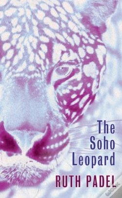 Capa do artigo Soho Leopard