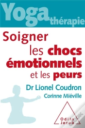 Capa do artigo Soigner Les Chocs Emotionnels Et Les Peurs