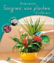 Capa do artigo Soignez Vos Plantes D Interieur
