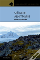Soil Fauna Assemblages