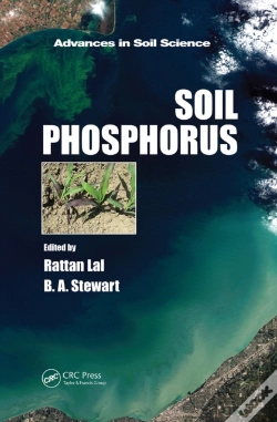 Capa do artigo Soil Phosphorus