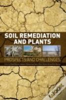 Soil Remediation And Plants
