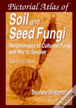 Soils And Global Change