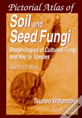 Soils And Global Change