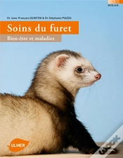 Capa do artigo Soins Des Furets