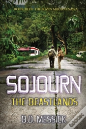 Capa do artigo Sojourn