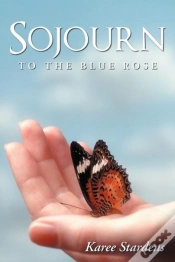 Capa do artigo Sojourn