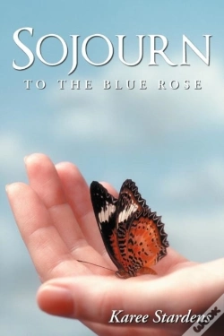 Capa do artigo Sojourn