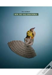 Capa do artigo Sol De Salamandra