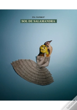 Capa do artigo Sol De Salamandra