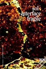 Capa do artigo Sol: Interface Fragile. - Stengel/ Sol: Interface Fragile./
