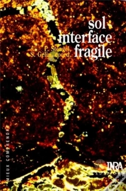 Capa do artigo Sol: Interface Fragile. - Stengel/ Sol: Interface Fragile./