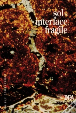 Capa do artigo Sol : Interface Fragile
