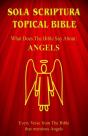Sola Scriptura Topical Bible: What Does - Preview