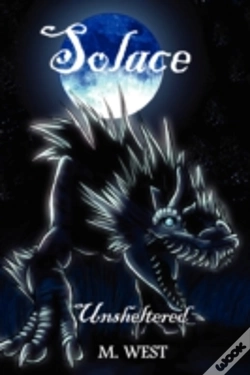 Capa do artigo Solace