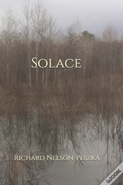 Capa do artigo Solace