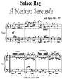 Solace Rag Easy Piano Sheet Music - Preview