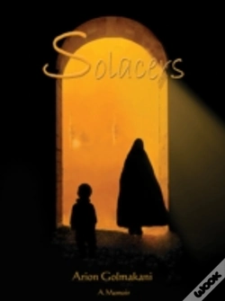 Capa do artigo Solacers