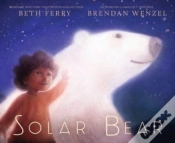 Capa do artigo Solar Bear