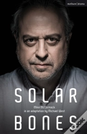 Capa do artigo Solar Bones
