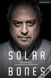 Capa do artigo Solar Bones