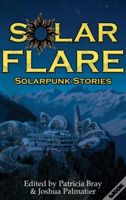 Capa do artigo Solar Flare