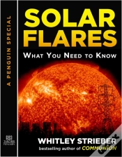 Capa do artigo Solar Flares