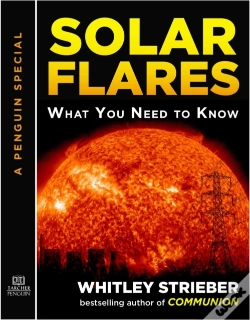 Capa do artigo Solar Flares
