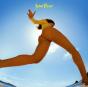 Solar Power - Vinil - Preview