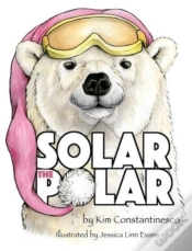 Capa do artigo Solar The Polar