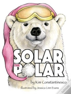 Capa do artigo Solar The Polar