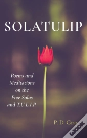 Solatulip