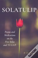 Solatulip