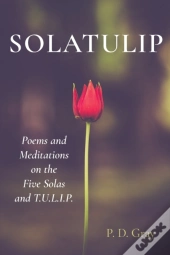 Solatulip
