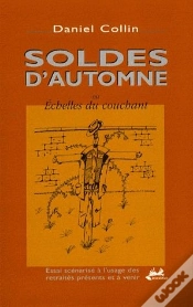 Capa do artigo Soldes D